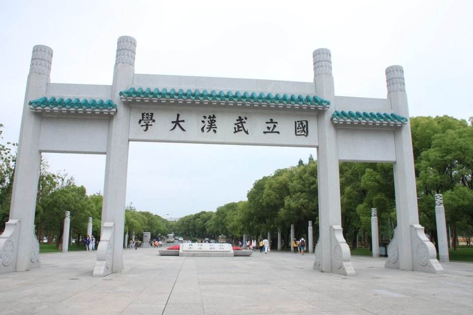2023年清华大学高水平运动队,哪些大学有高水平运动队