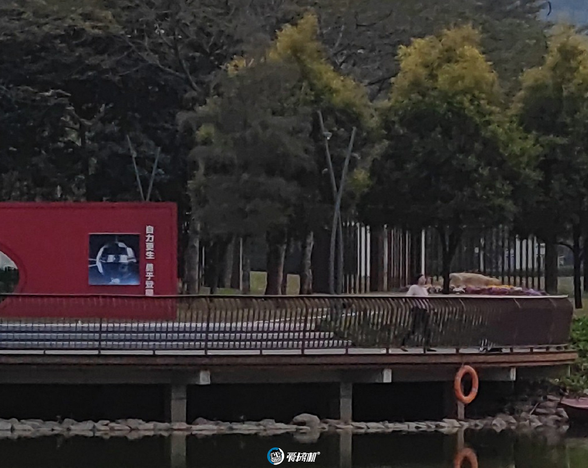 小米11全系列横评,小米11全系列测评