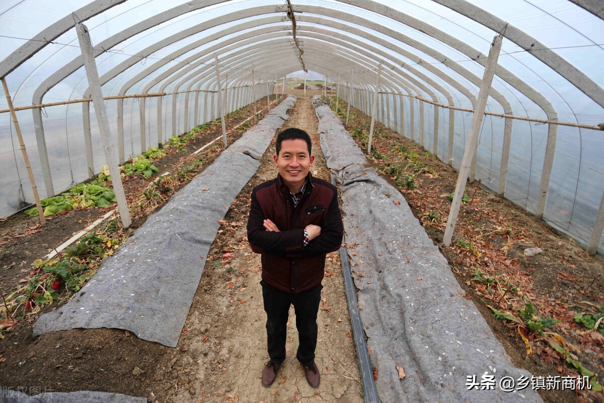 利润很吓人10个冷门创业项目农村,最适合新手小本创业的5个好项目