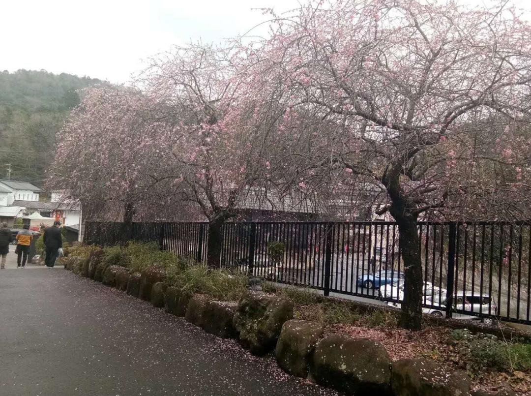 诗词刘柏荣,刘柏荣的诗词