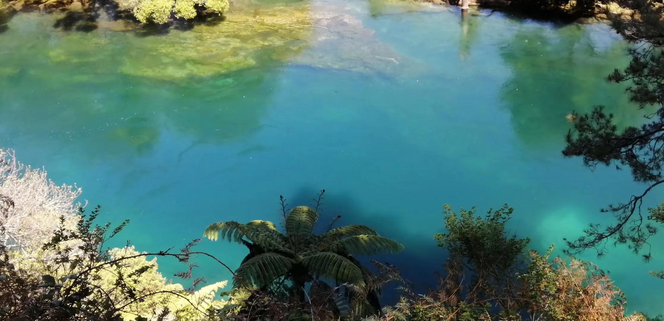 记忆中的旅行之新西兰(北岛)