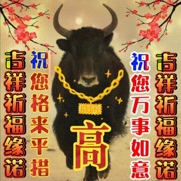 年味文化大餐！最新网络世界符号工具表情包【百家姓】专辑！