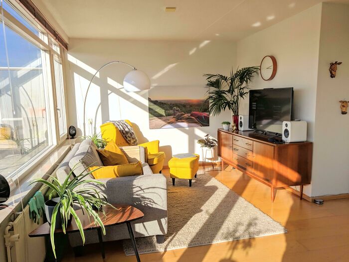 国外网友分享的生活,外国网友分享家里奇奇怪怪的东西