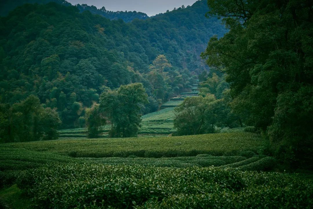 citywalk城市漫步旅游方式,6条citywalk路线带你走过百年