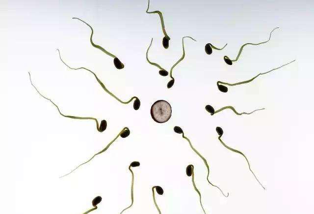 男女之间最安全的避孕方式,男女有什么好的方法避孕