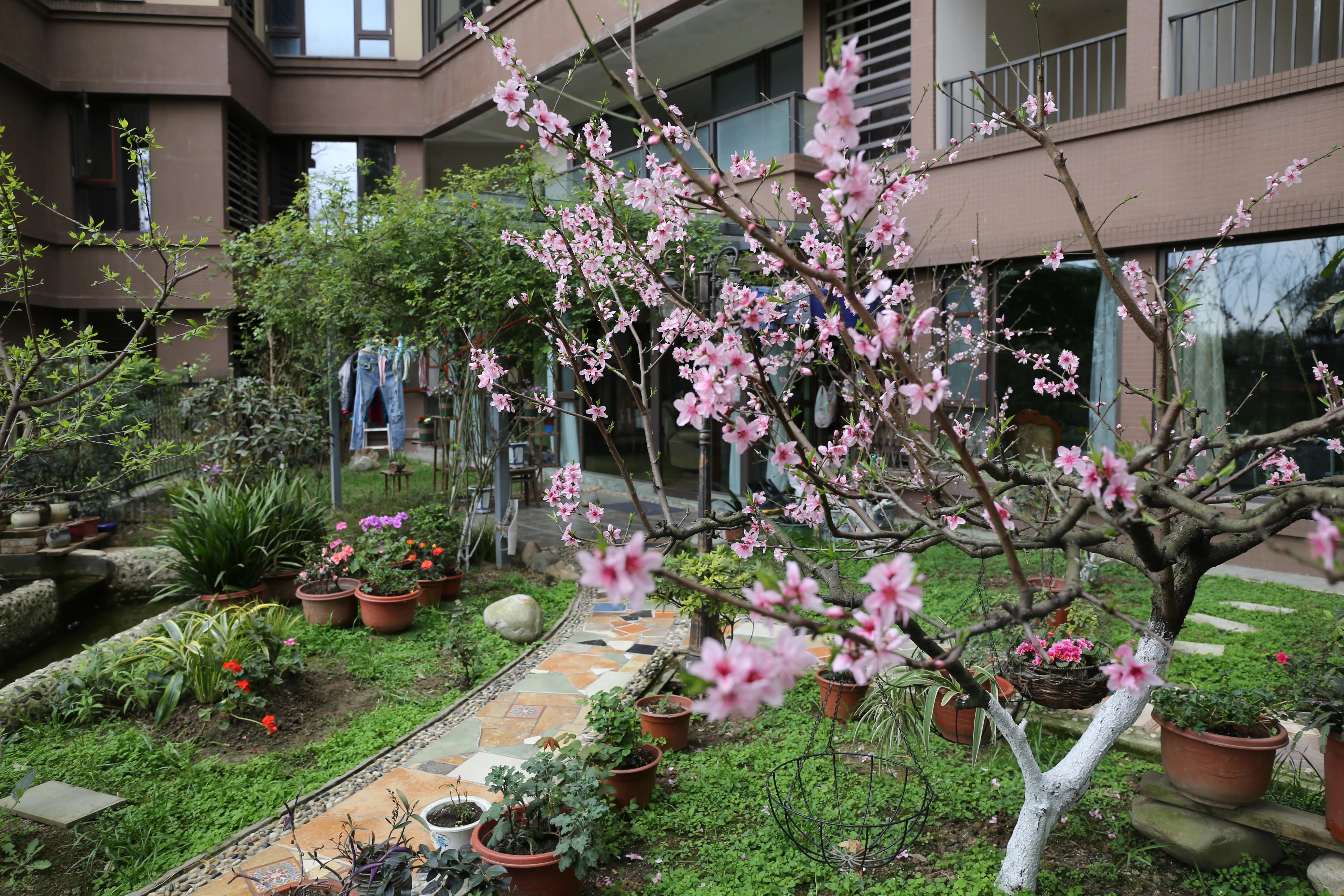 春天的花园作文,春天的花园作文400字四年级