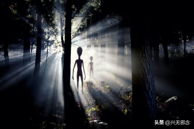 tiktok超可怕录像,tiktok最吓人的视频