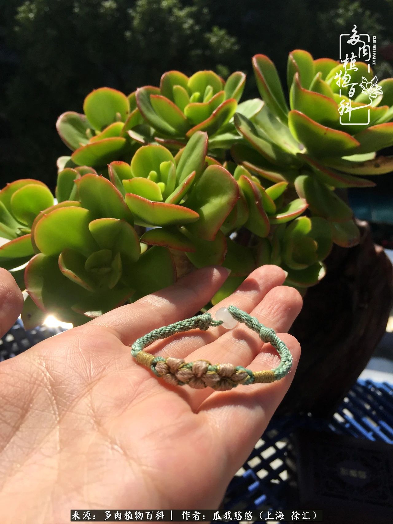 享受岁月,享受岁月静好歌曲原唱