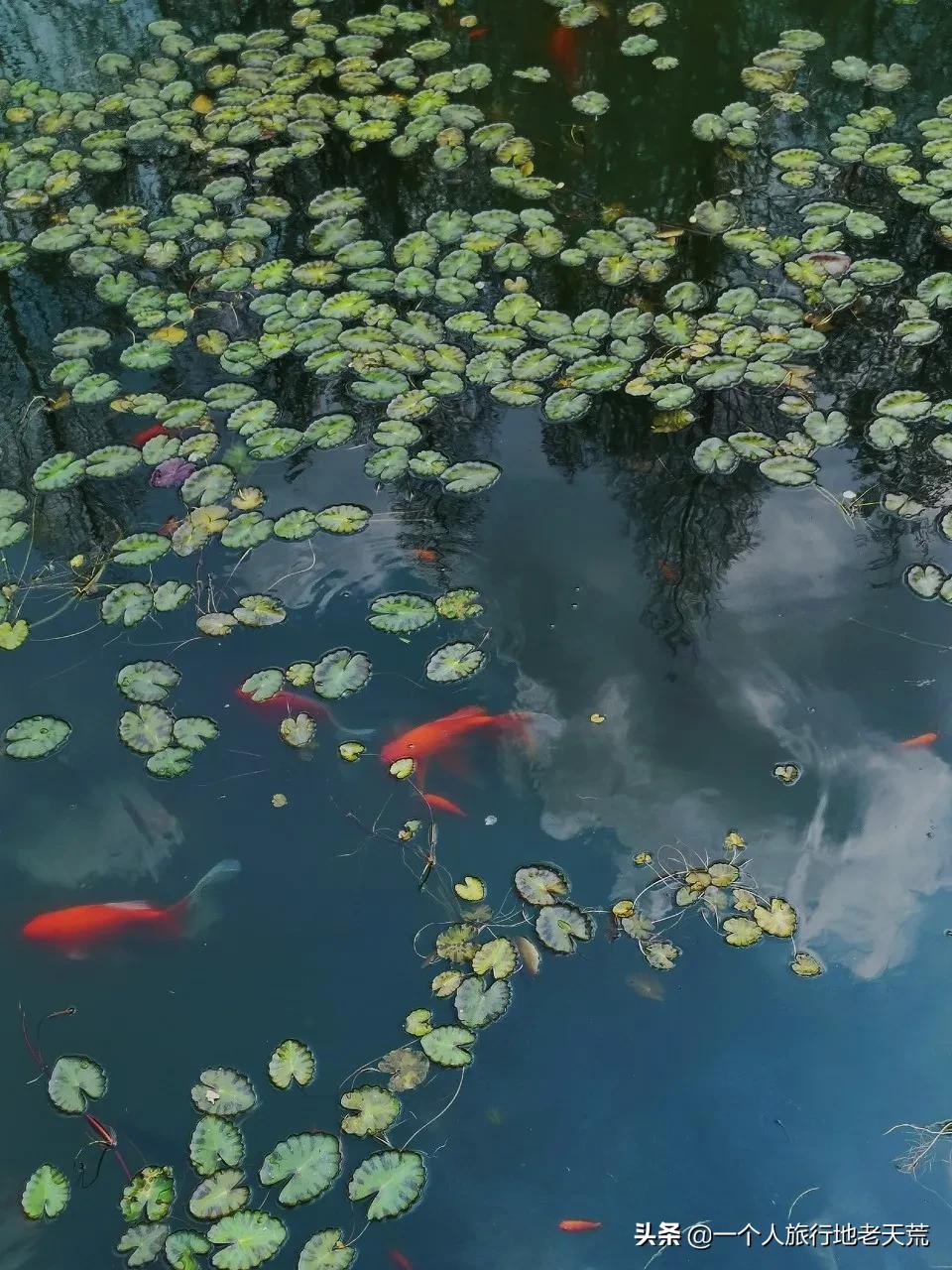 江苏这个“快乐”的城市，颜值不输苏杭，连苏东坡都在这养老