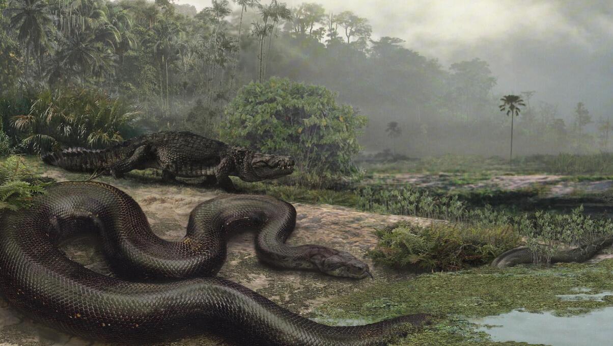 地球有史以来最大的蛇,地球上一千大最凶猛的蛇