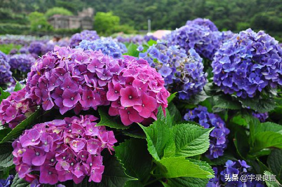 年度热门说说句子大全简短,精辟简短的经典说说