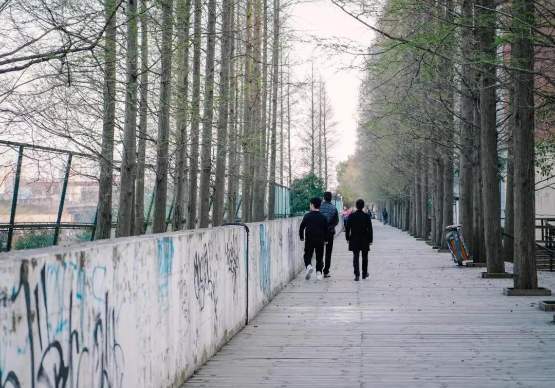 高校食堂大盘点,大学食堂盘点