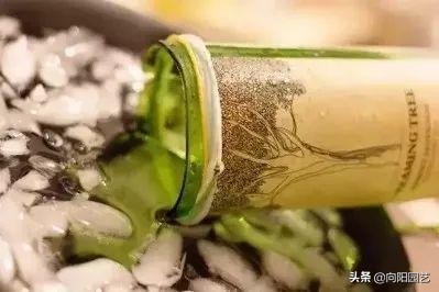 切酒瓶做花盆养多肉看效果,自制酒瓶多肉花盆如何造型