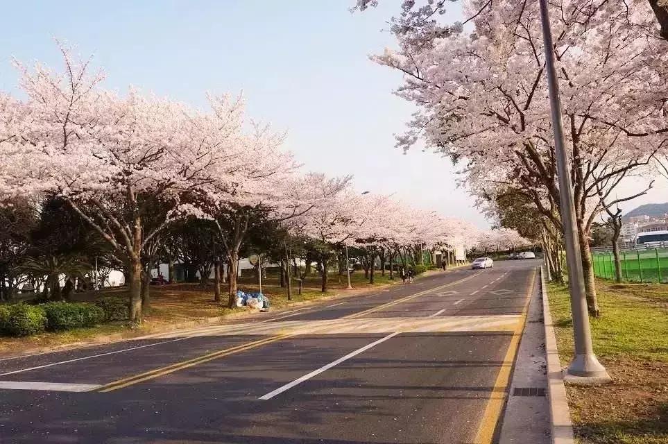 身份证410、411、412开头的,去了郑州就等于去了全世界