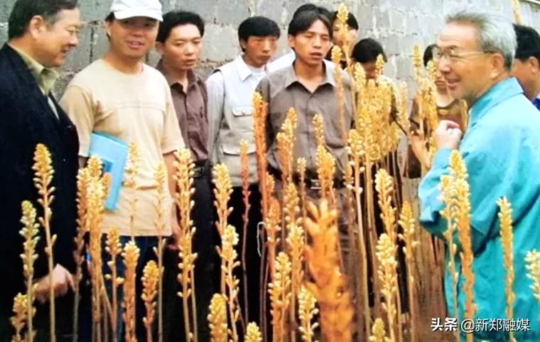 中国“南天麻之父”的故里情！录视频为家乡人民送祝福……