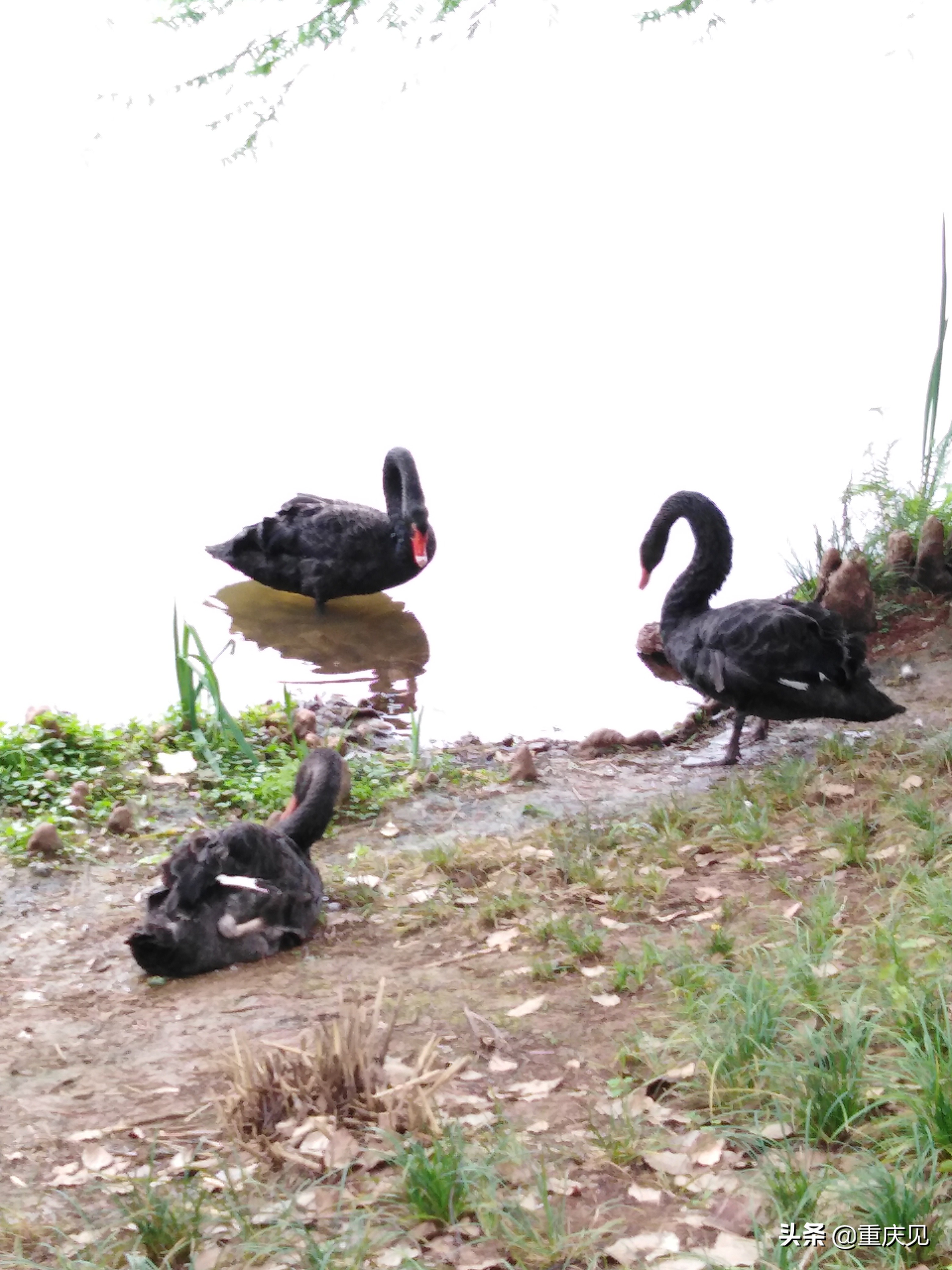 璧山春夏｜带TA去秀湖水街，赴一场时空之约，汉服国潮，衣袂飘飘