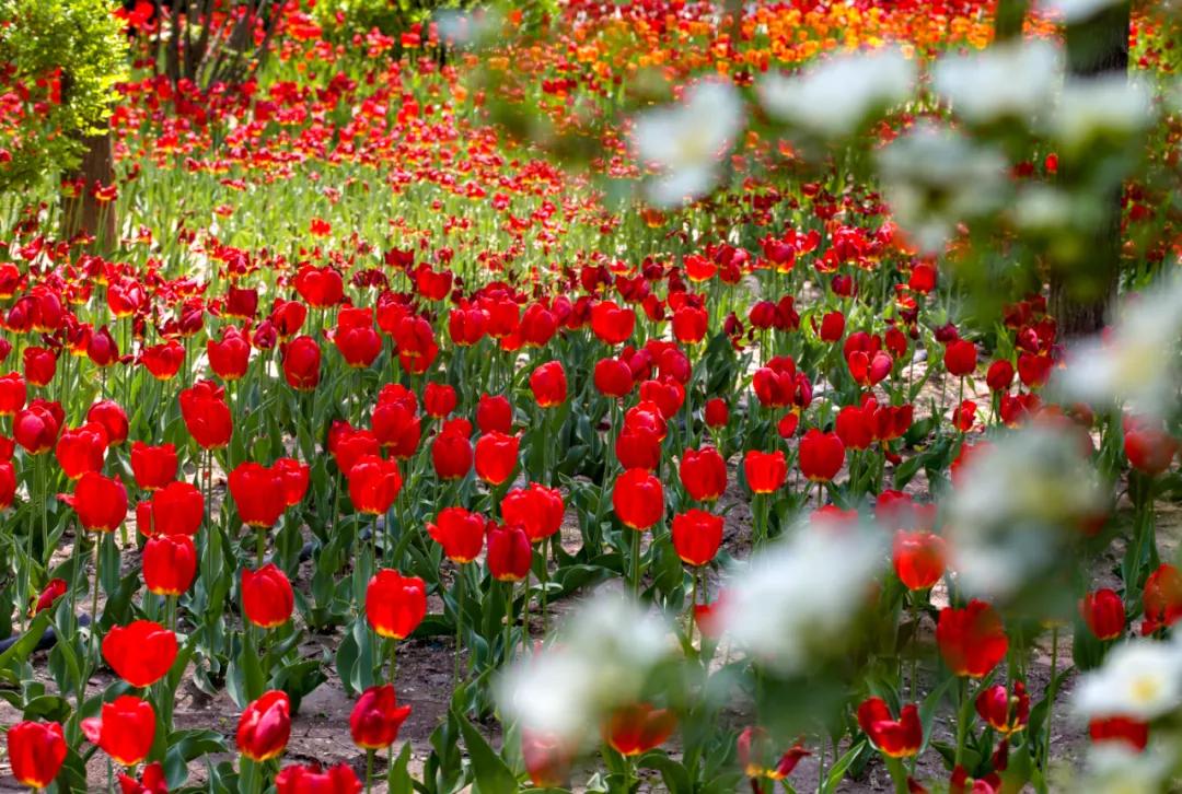 时光清浅秋意阑珊,时光清浅浮世清欢