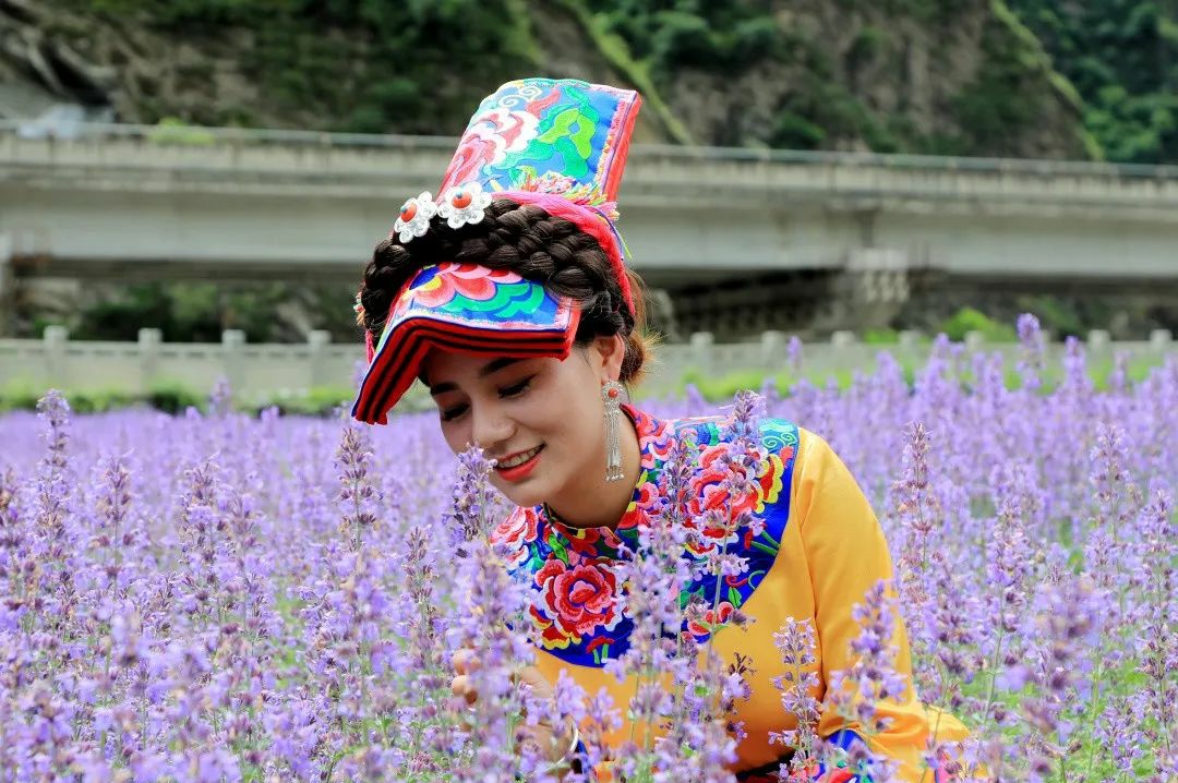 茂县古羌城传承美玉,茂县古羌城建筑介绍