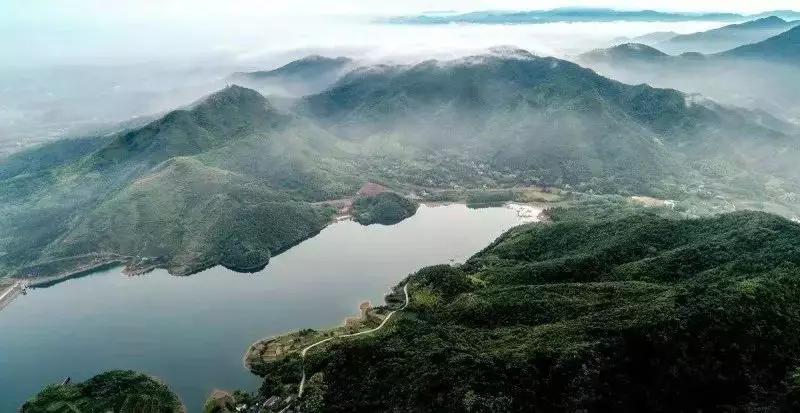 大局已定2020,大局已定开始扭转乾坤