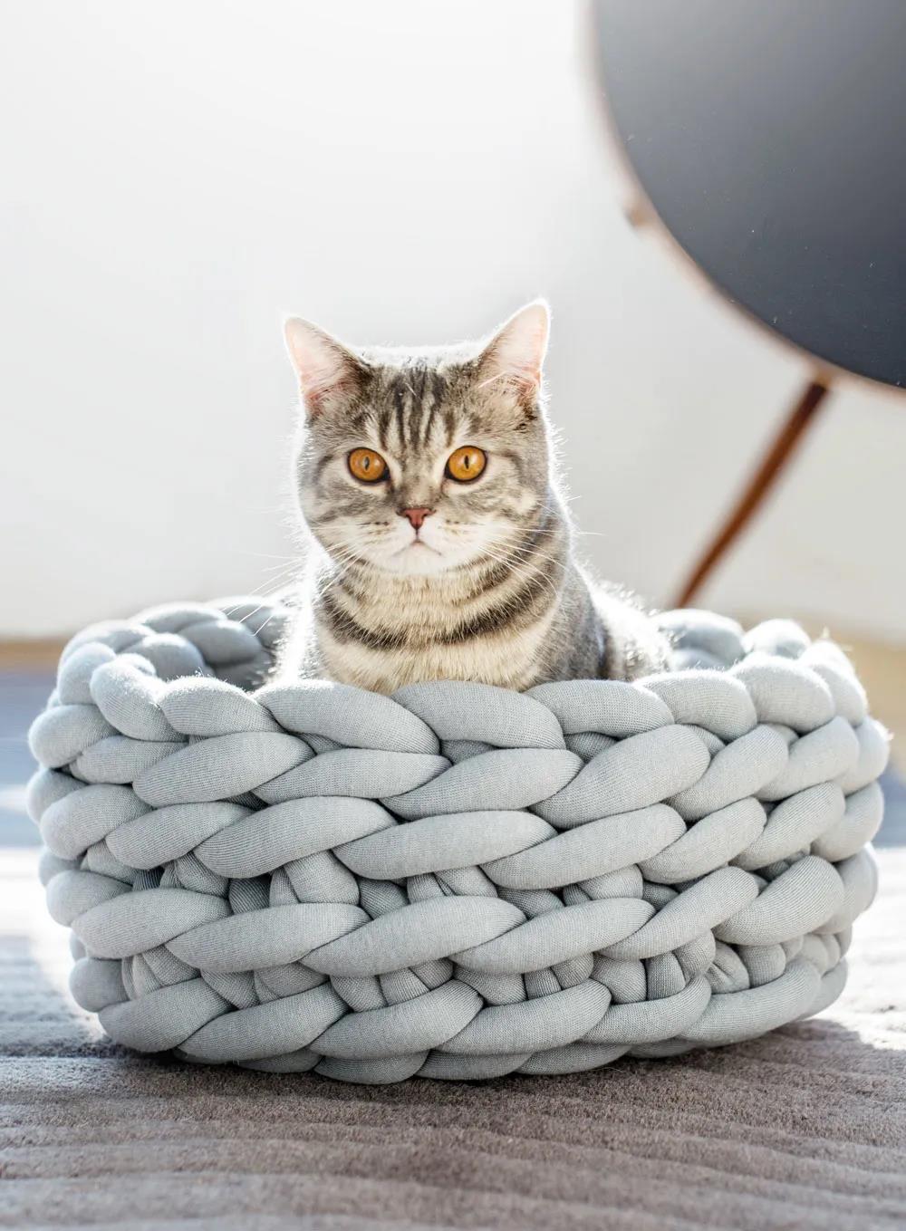 未来5年宠物智能产品,宠物产品logo设计