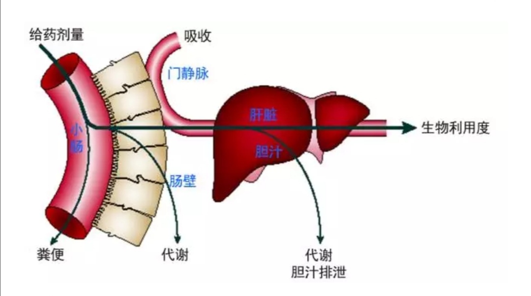 安全用药无小事,饮食用药安全常识