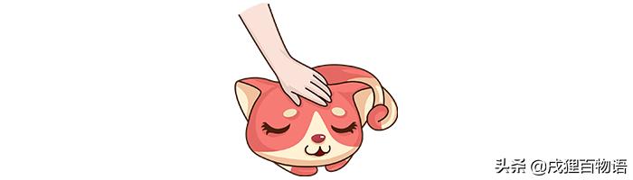 acyw135流脑疫苗是国产还是进口,宠物疫苗有哪些种类图片和名称