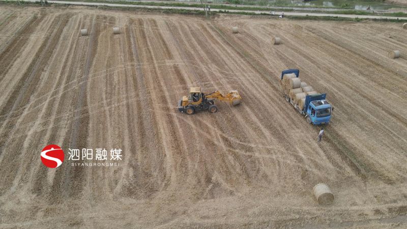 泗阳县农业产业,农业农村局秸秆综合利用实施方案