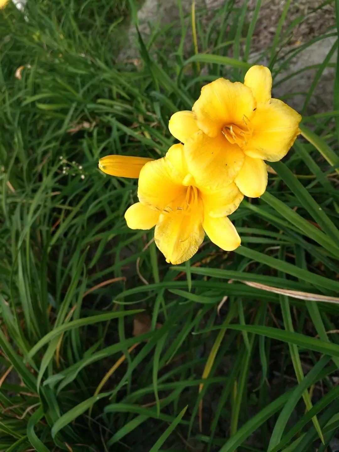 体验火车观光不用去火车站，来北京这个免费公园就可以！距市中心18公里，人少适合闲逛！