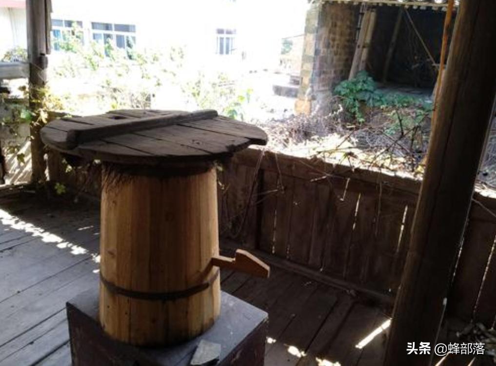 养蜜蜂技术让蜜蜂只进不出的机关,养蜂人不要的蜜蜂如何养殖成功