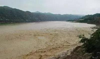 如何快速解决水体浑浊问题,处置水质的100种方法