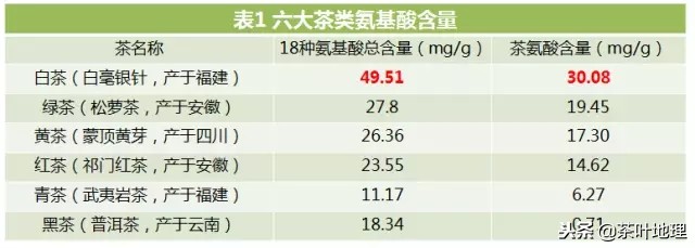教你快速喝懂白茶知识讲解,白茶陈皮的功效与作用及禁忌症