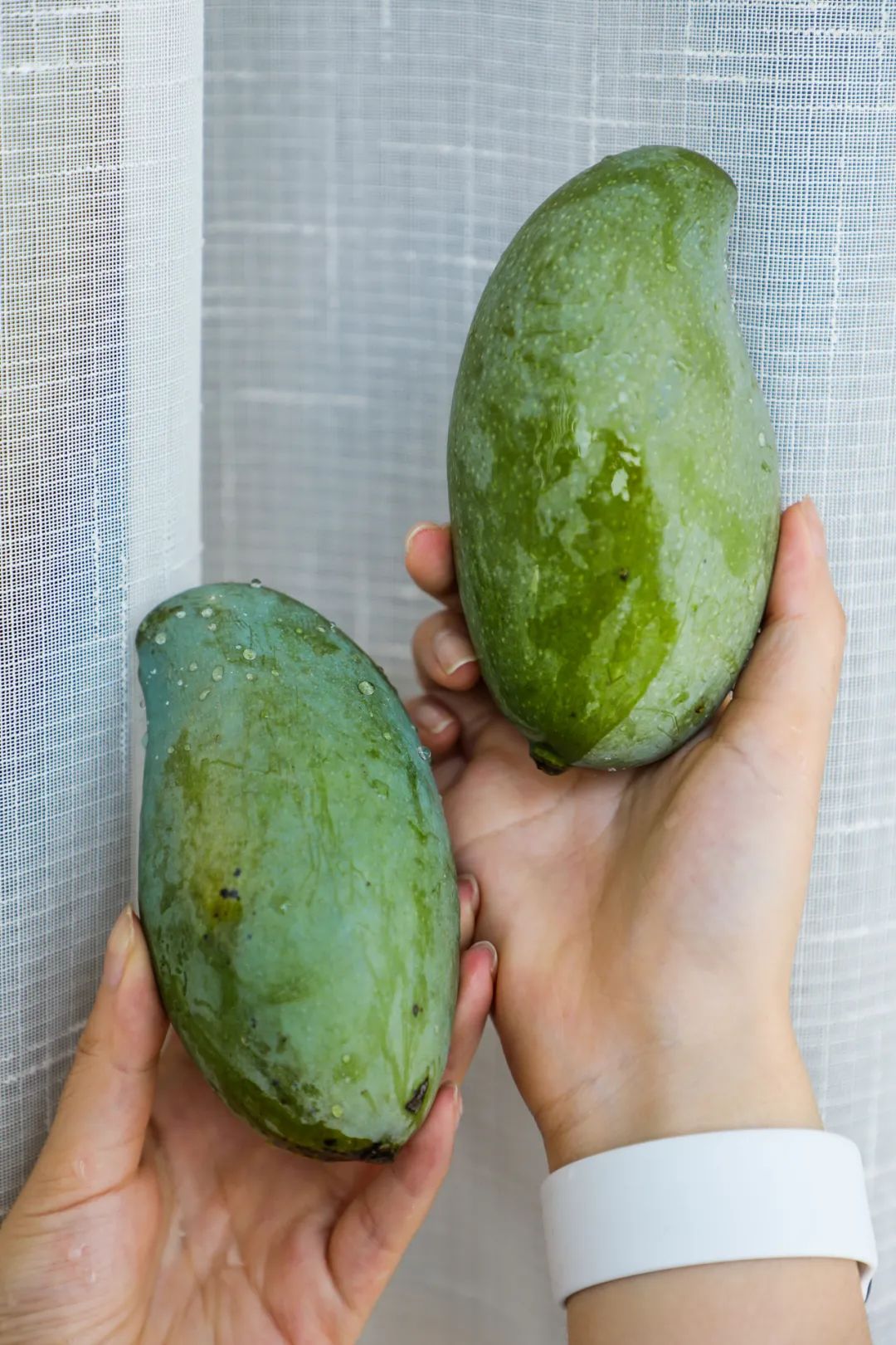 鄙视链底端的人,社交平台鄙视链