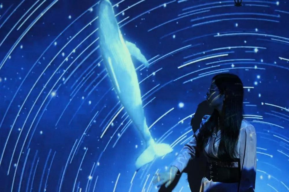 免费梦幻灯光节,梦幻灯光节免费门票