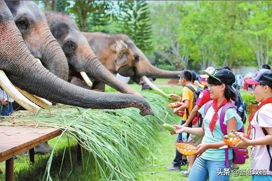 从昆明自驾去西双版纳,沿途你要如何规划线路,会经过哪些地方
