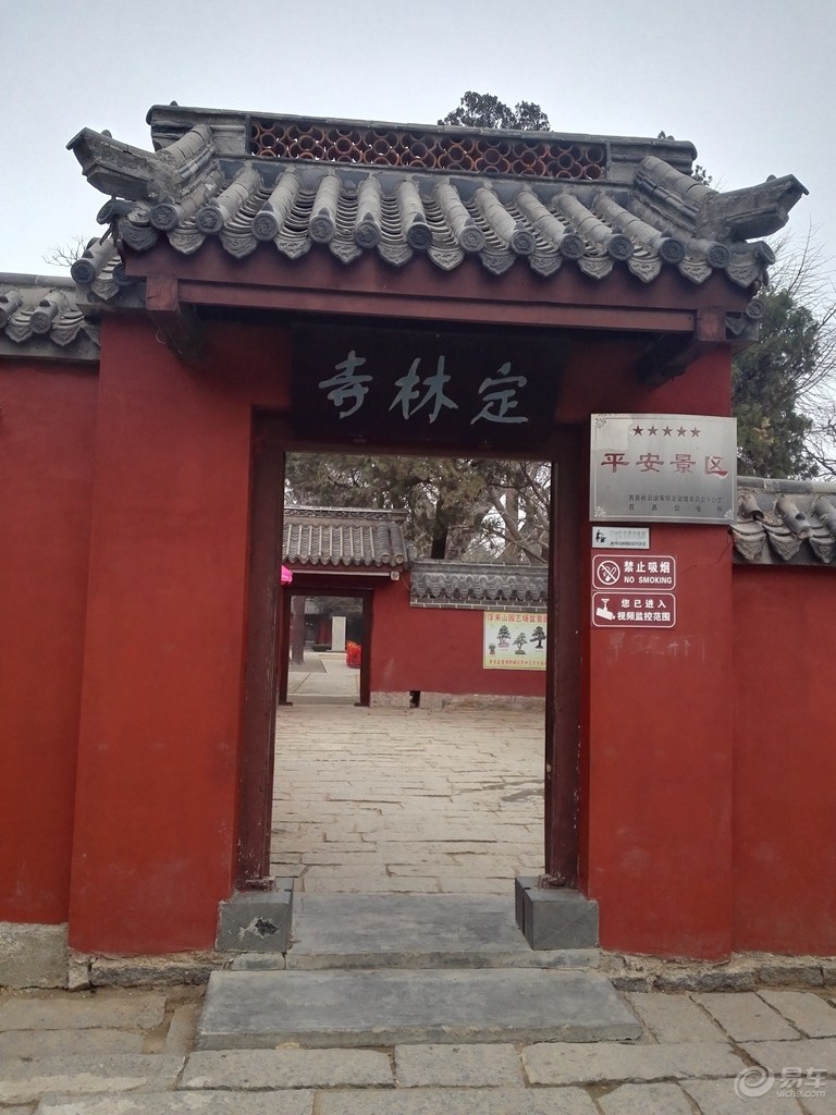 日照直播,日照绿茶价格表