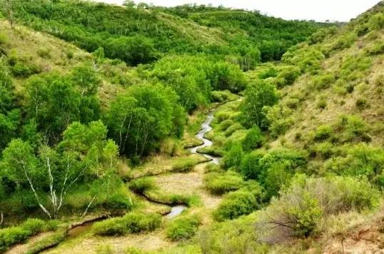 自驾穿越黄花沟草原,黄花沟草原自驾游旅游攻略