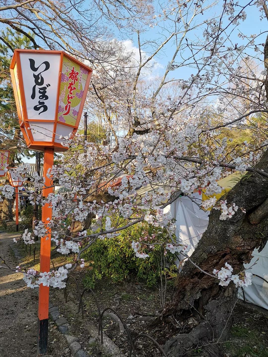 「慢达世界」第216期:短暂停留的京都生活,柊家的待客之道
