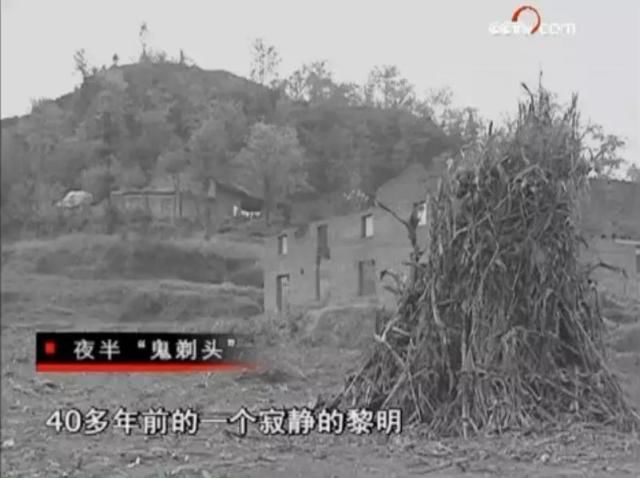 走近科学童年阴影,童年阴影走近科学停播了吗