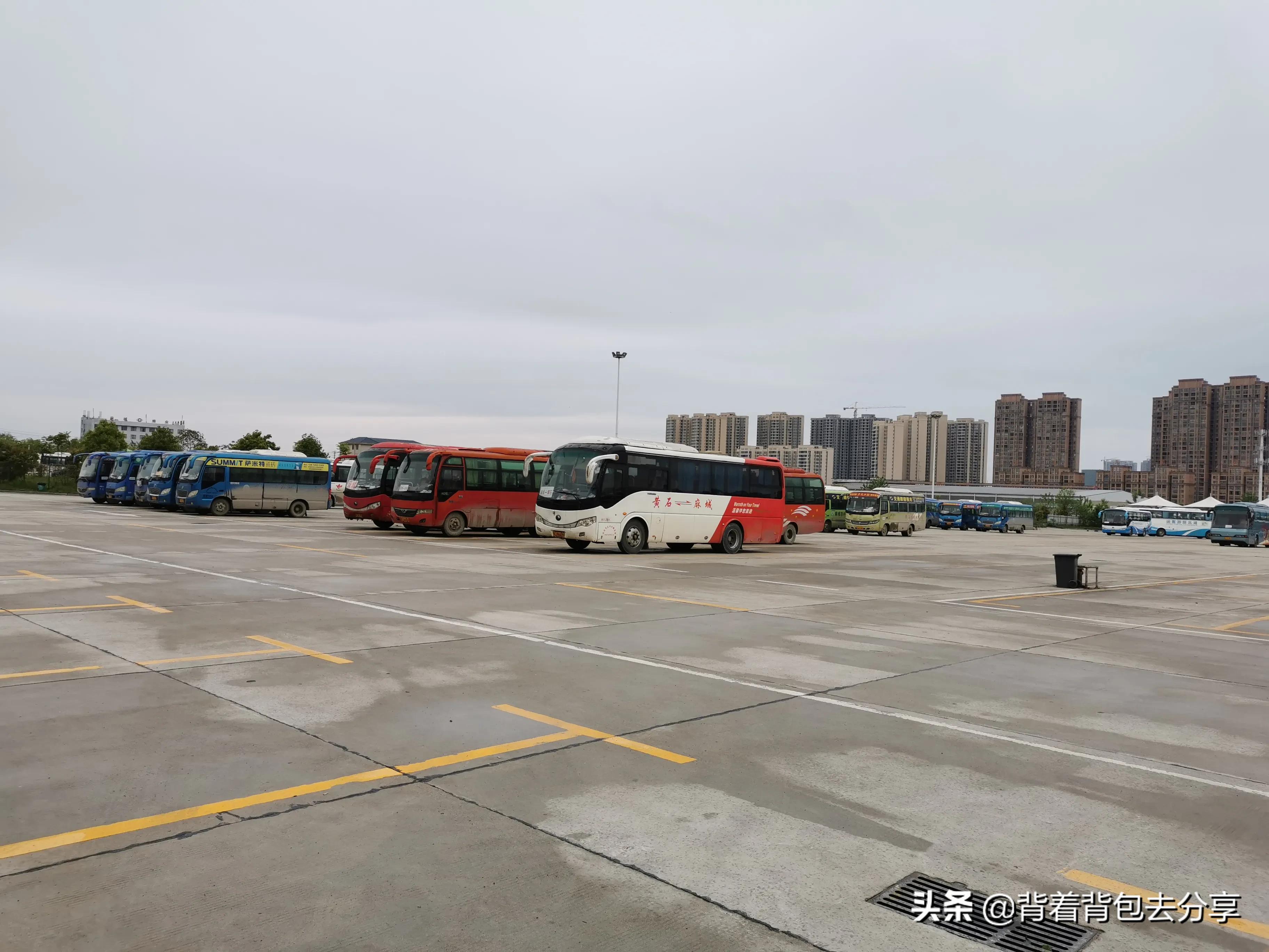 麻城看杜鹃花攻略,去麻城看杜鹃攻略