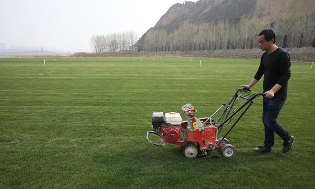 河南小伙好吃懒做,河南小伙放弃百万年薪回家种地