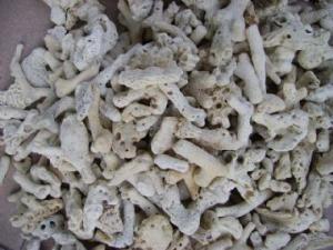 鱼缸的水垢可用砂纸打磨吗,鱼缸内壁沾满水垢是不是水质问题