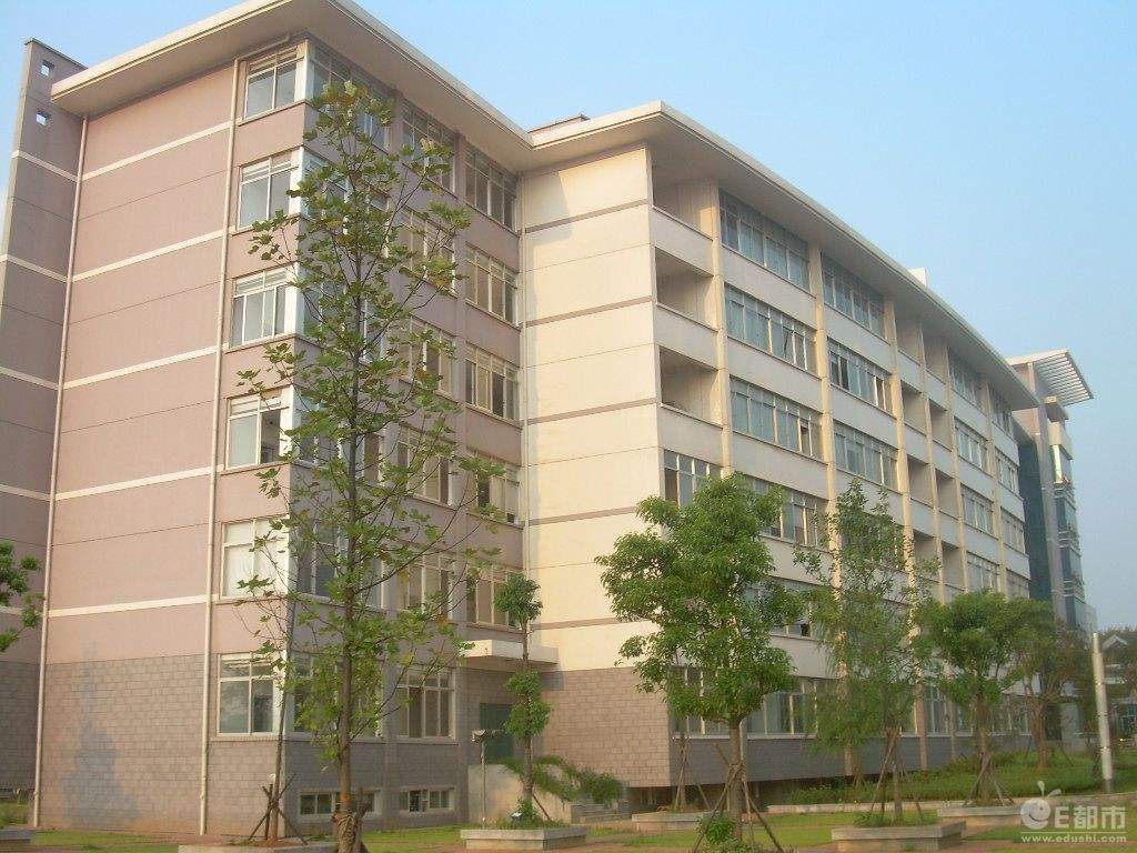 湖南信科it,中南信科it学校是正规的学校吗