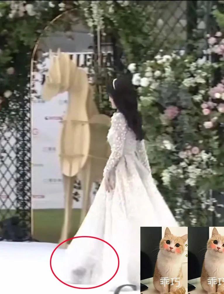 盘点明星红毯尴尬名场面,暴露身材的缺陷