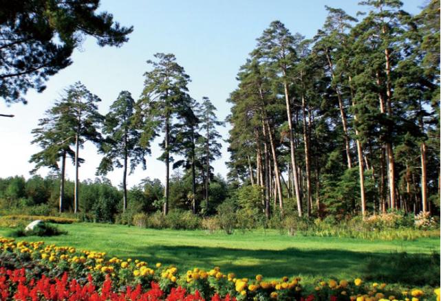 冬天里的长白山美人松,长白山美人松旅游攻略