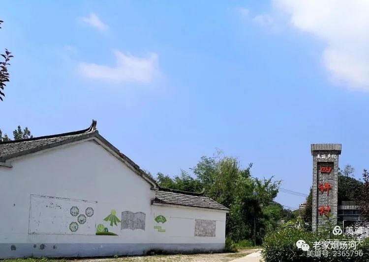 巢湖风:平凡人不平凡的事——记烔炀河塘稍村人许寿东