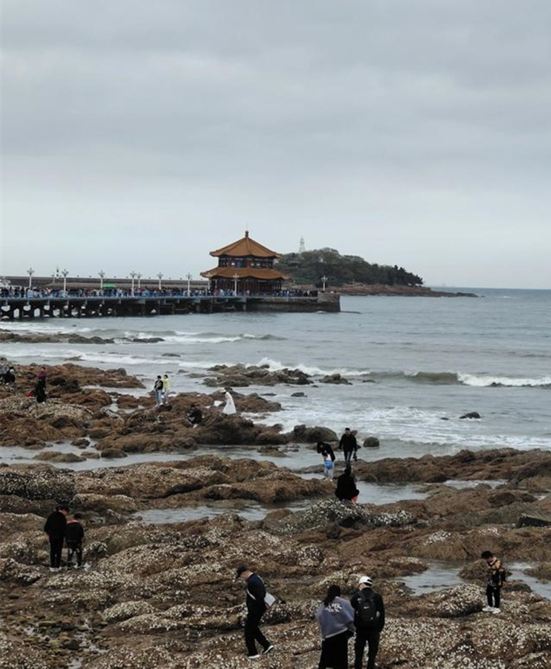 30年老字号青岛,青岛30年老店