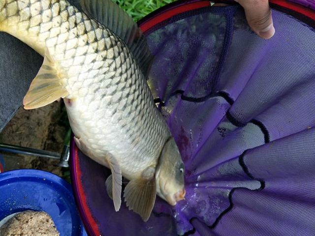 玩并继竿要注意什么,玩并继竿的人