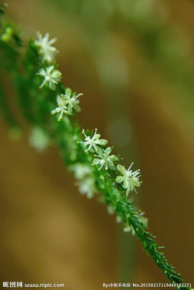 人为什么要挣钱活着,人为什么要挣钱完整版