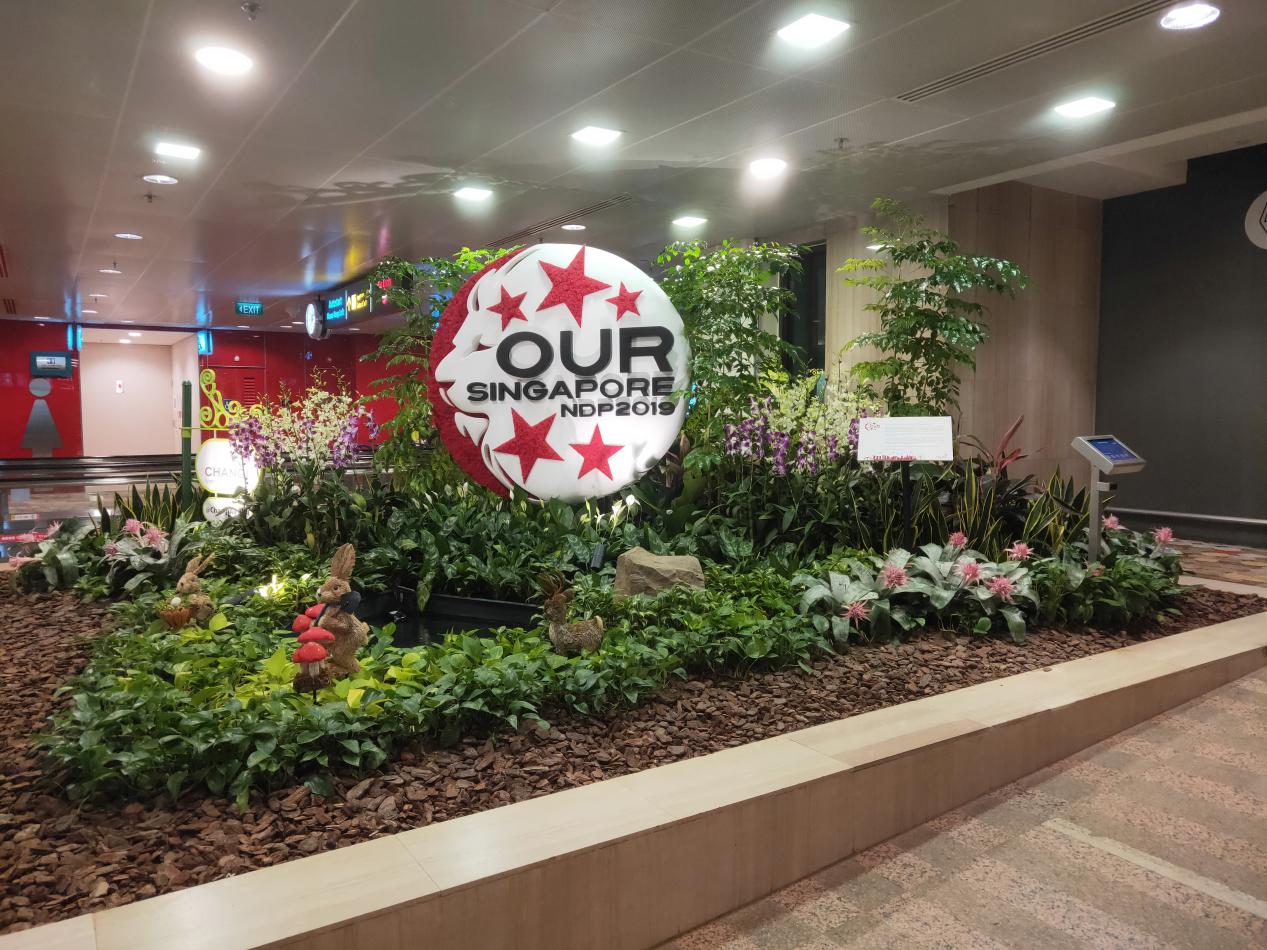 马尔代夫莉莉岛攻略,马尔代夫玛娜法鲁岛几星