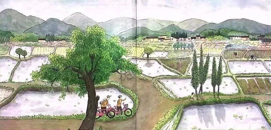 青蛙与男孩绘本公开课,适合培养小孩自信心和胆量绘本